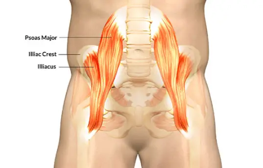 Hip Flexor Muscle Strain