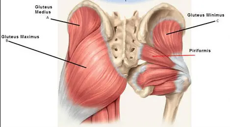 Hip muscle pain relief
