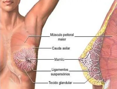 What is The Cause of Breast Pain