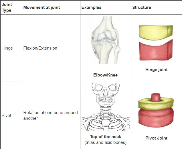 Type of joints